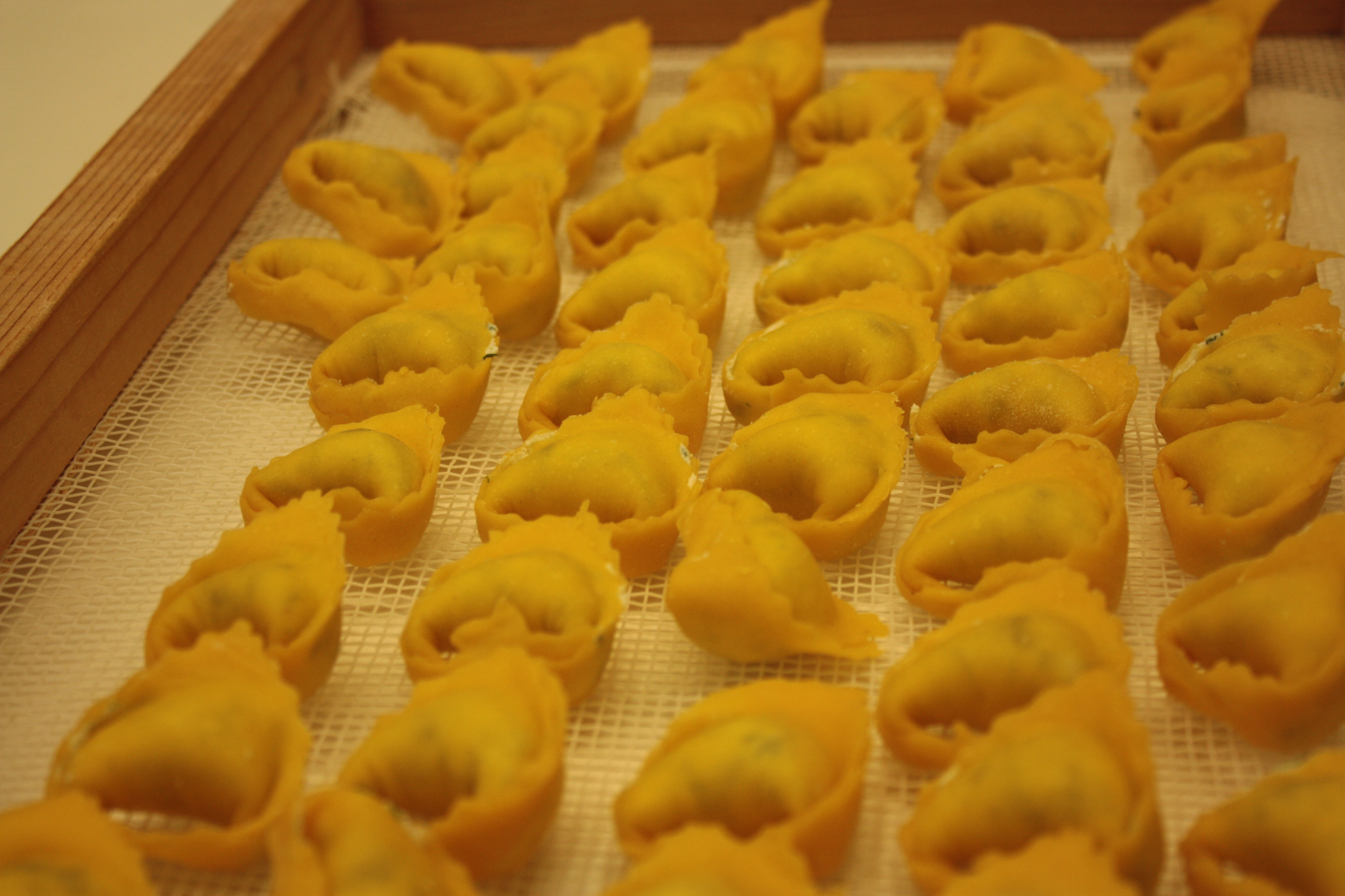 tortelloni con ricotta e spinaci